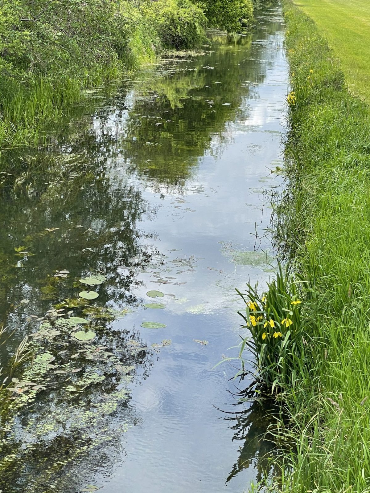 BF711257-0A14-4022-A313-44EFF0F99CA9