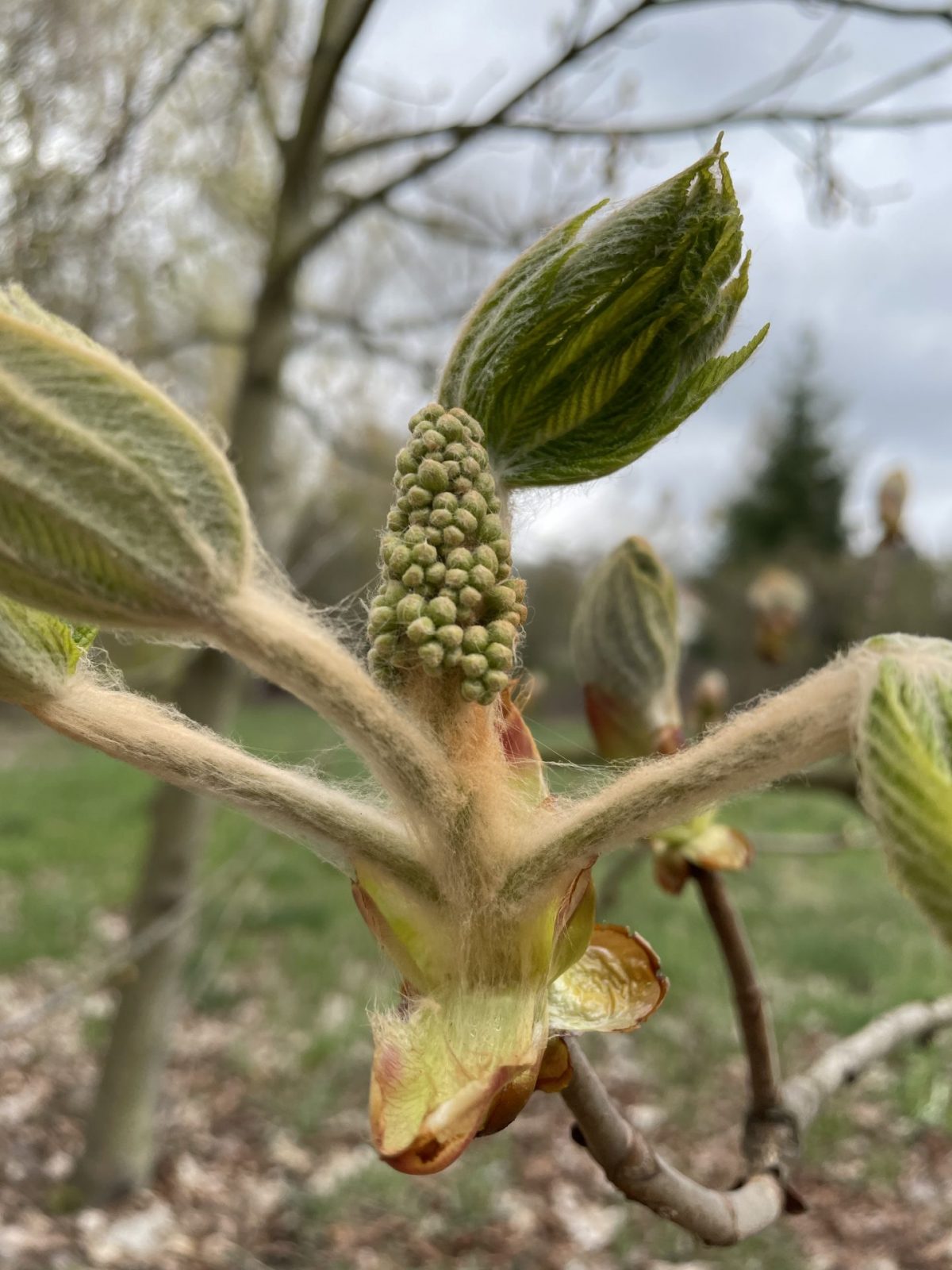 BF8314BC-46C0-4AC0-B79E-D3FA59BC45DE