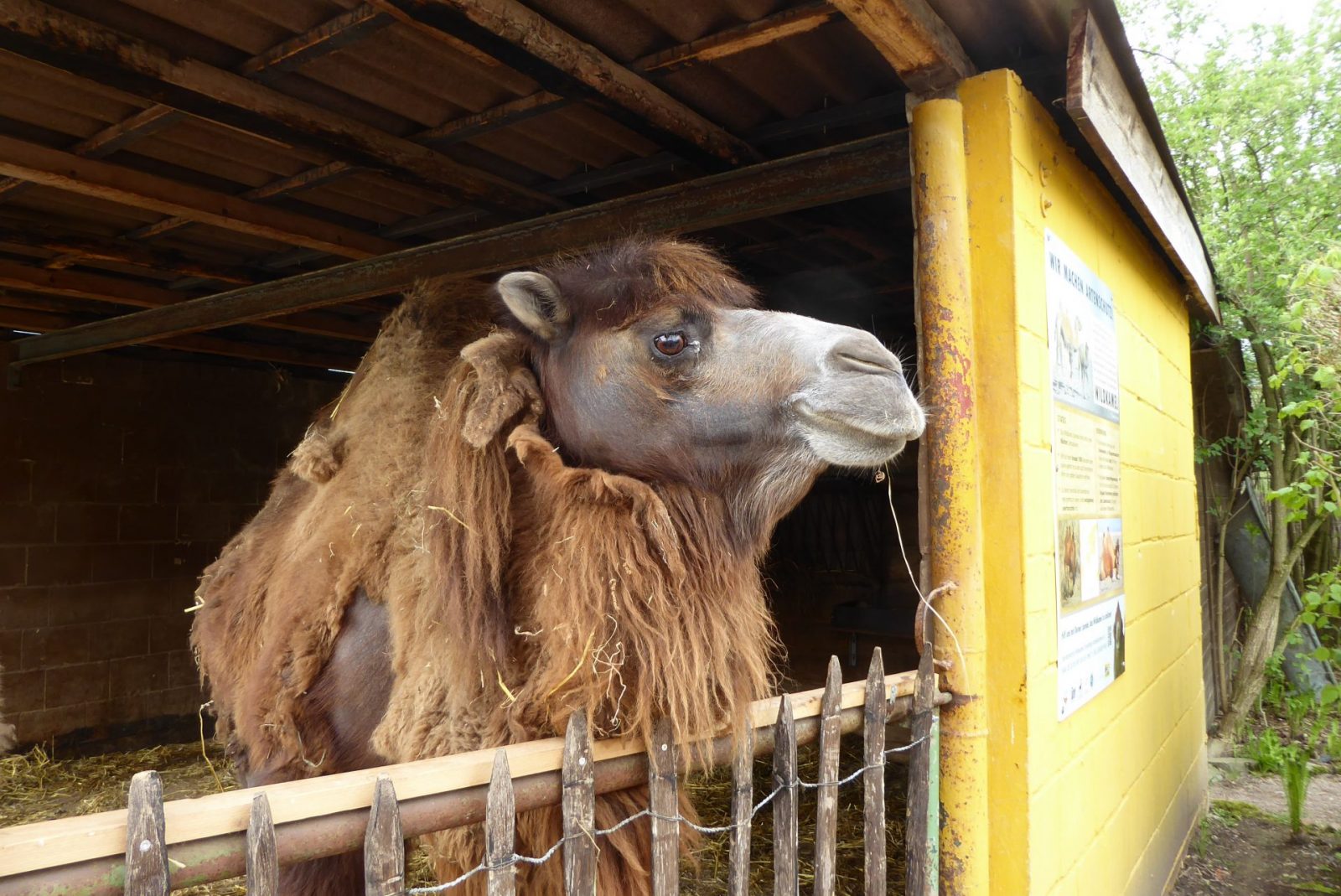 Bad Pyrmont Tierpark (125)