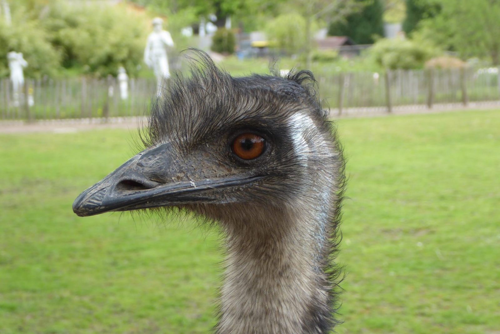 Bad Pyrmont Tierpark (148)