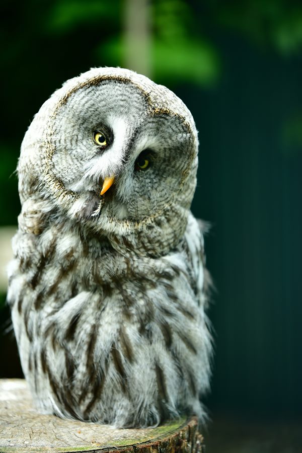 Bild 8_Mal gucken wer da guckt