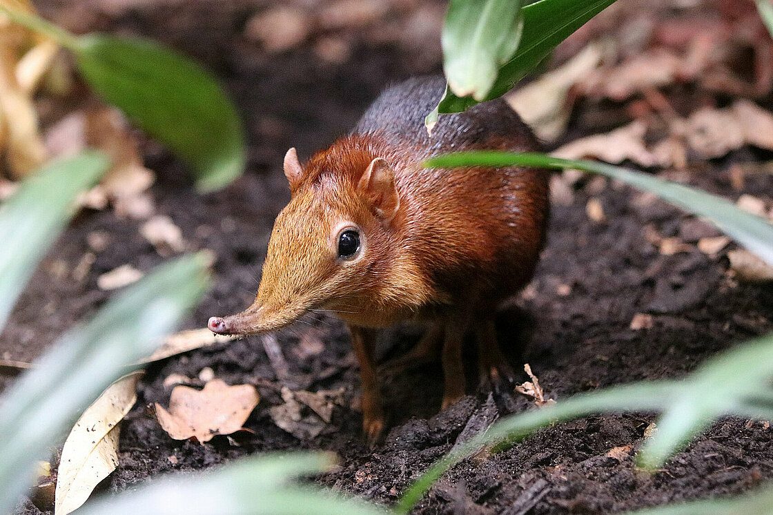 Bild eingefügt am 2020-10-8 10-50