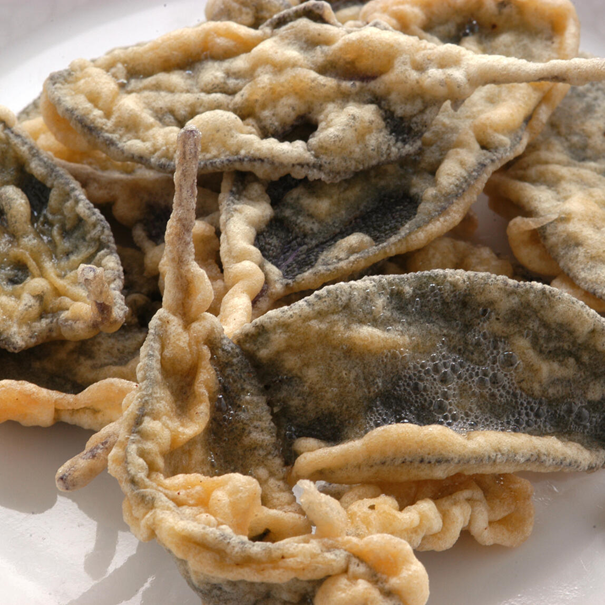 Bild_2023-08-24_084528711