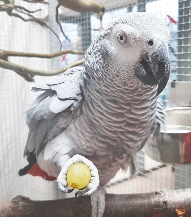 Bild_2023-09-16_161006727