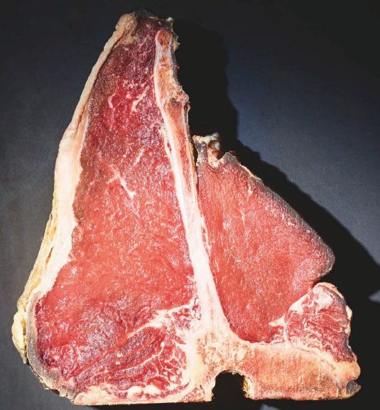 Bild_2024-03-01_132511811