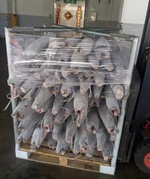 Bild_2024-04-27_090724377