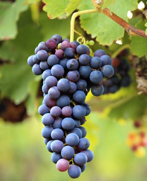 Bild_2024-09-11_104031214