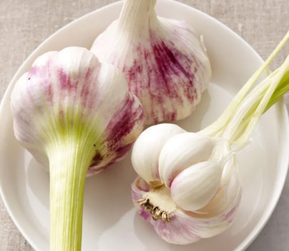 Bild_2025-09-01_143226205