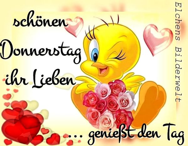 Bilder-„Schonen-Donnerstag“-4