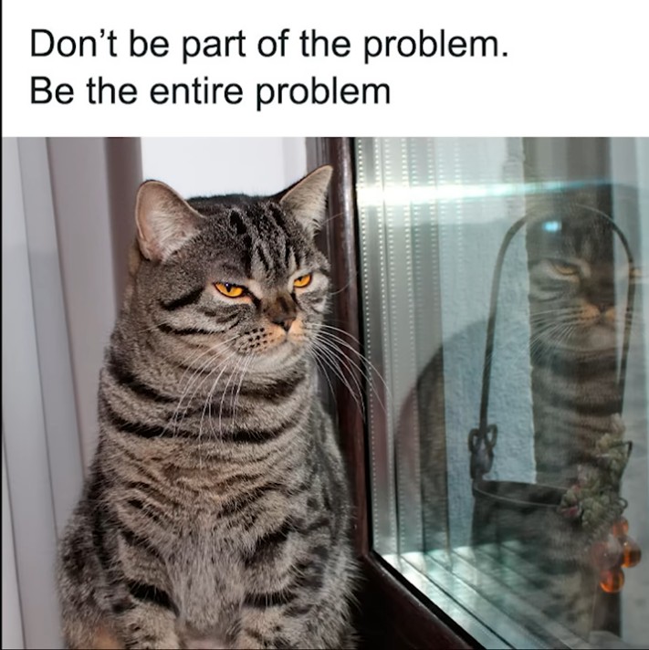 Bildschirmfoto vom 2024-12-16 11-54-49