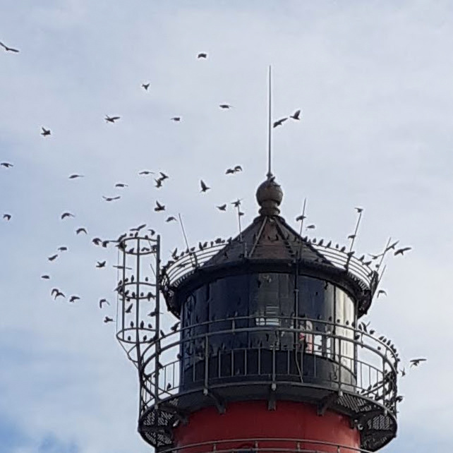 Büsum September 2019-096