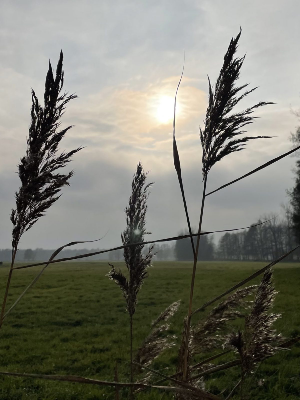 C05B7F7F-3B2D-4308-94E2-B40F03A70138