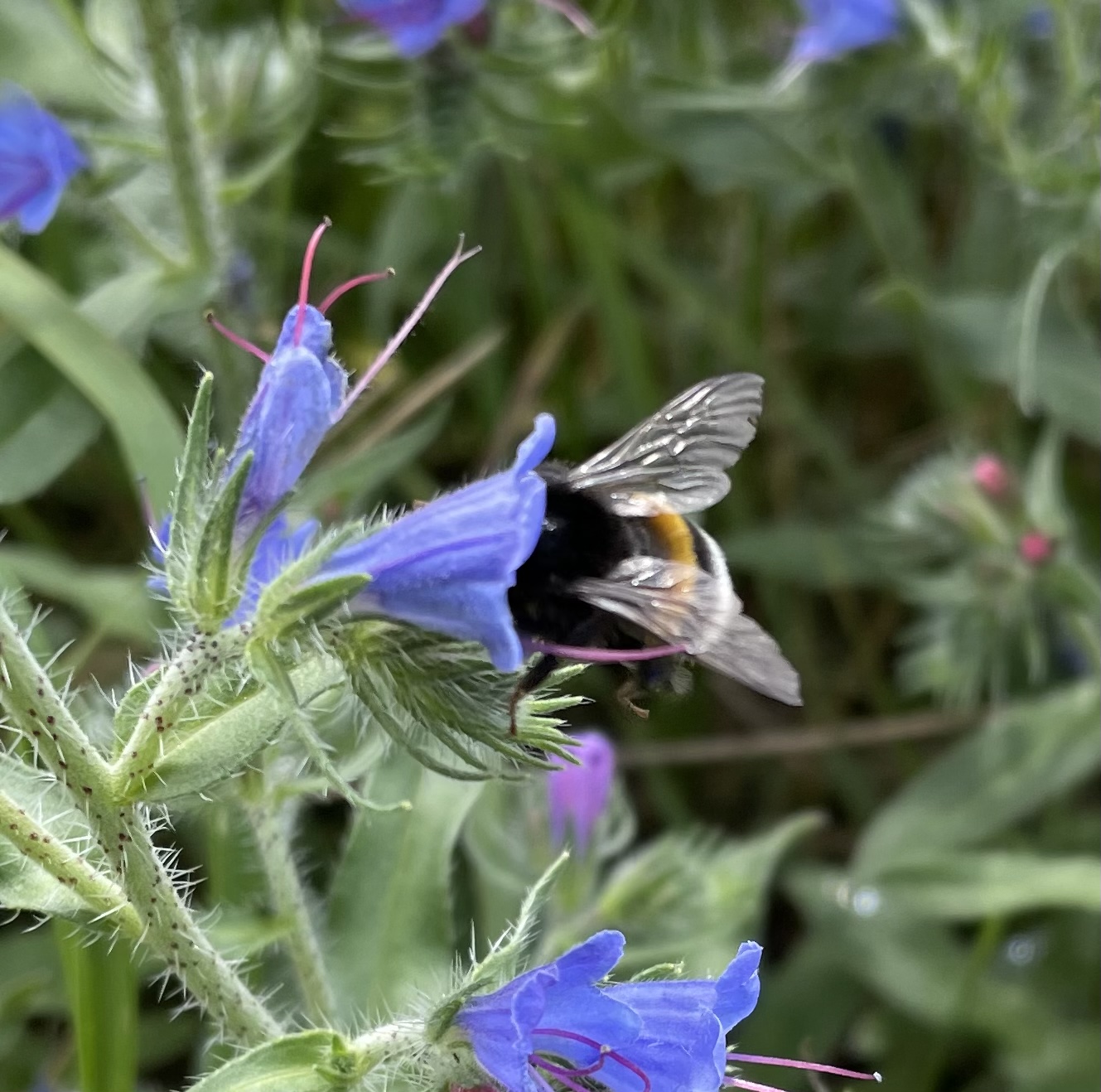 C06D3AE7-113D-4464-85FA-1292900E8BE6