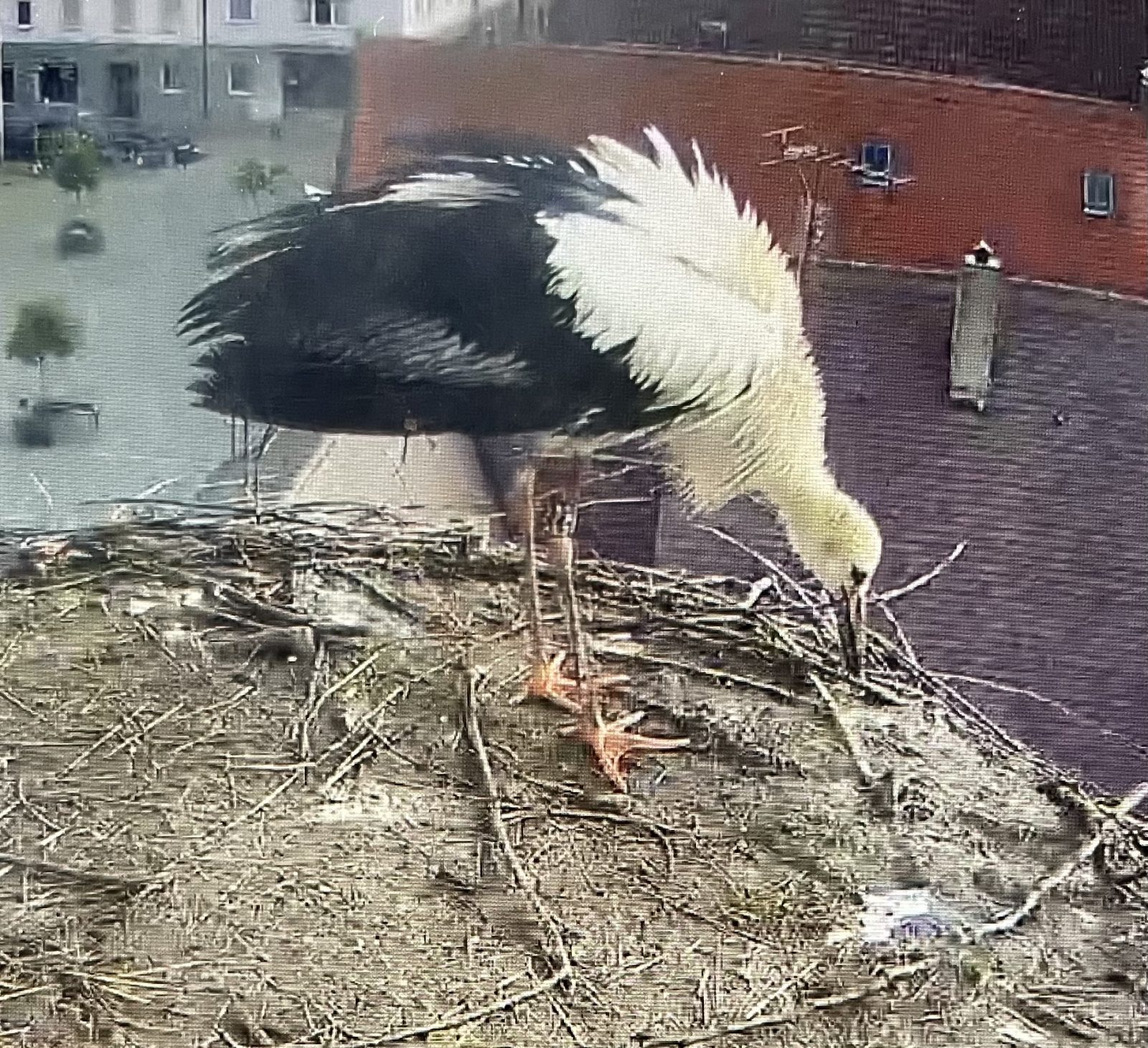 C0906639-B4F3-44B2-87EF-A2D25453E47E