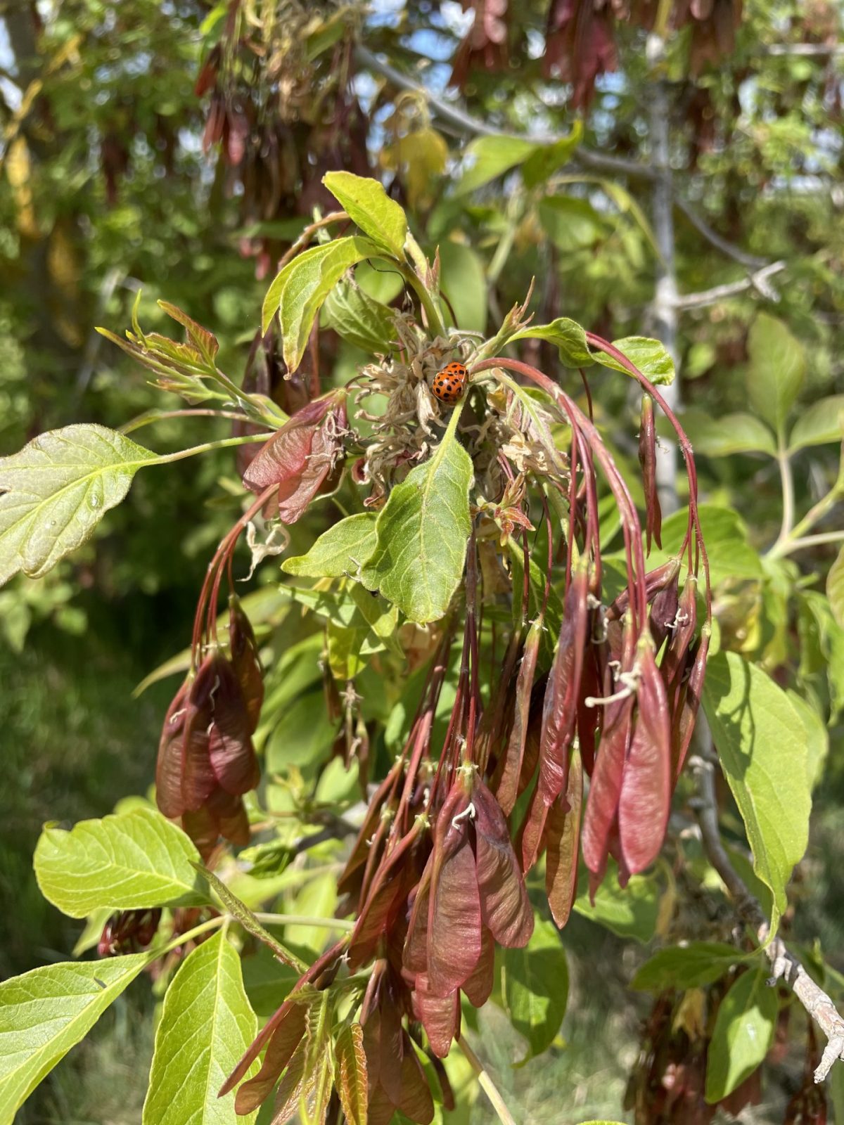 C09C451D-831F-4C54-99DA-03F4B57E9507