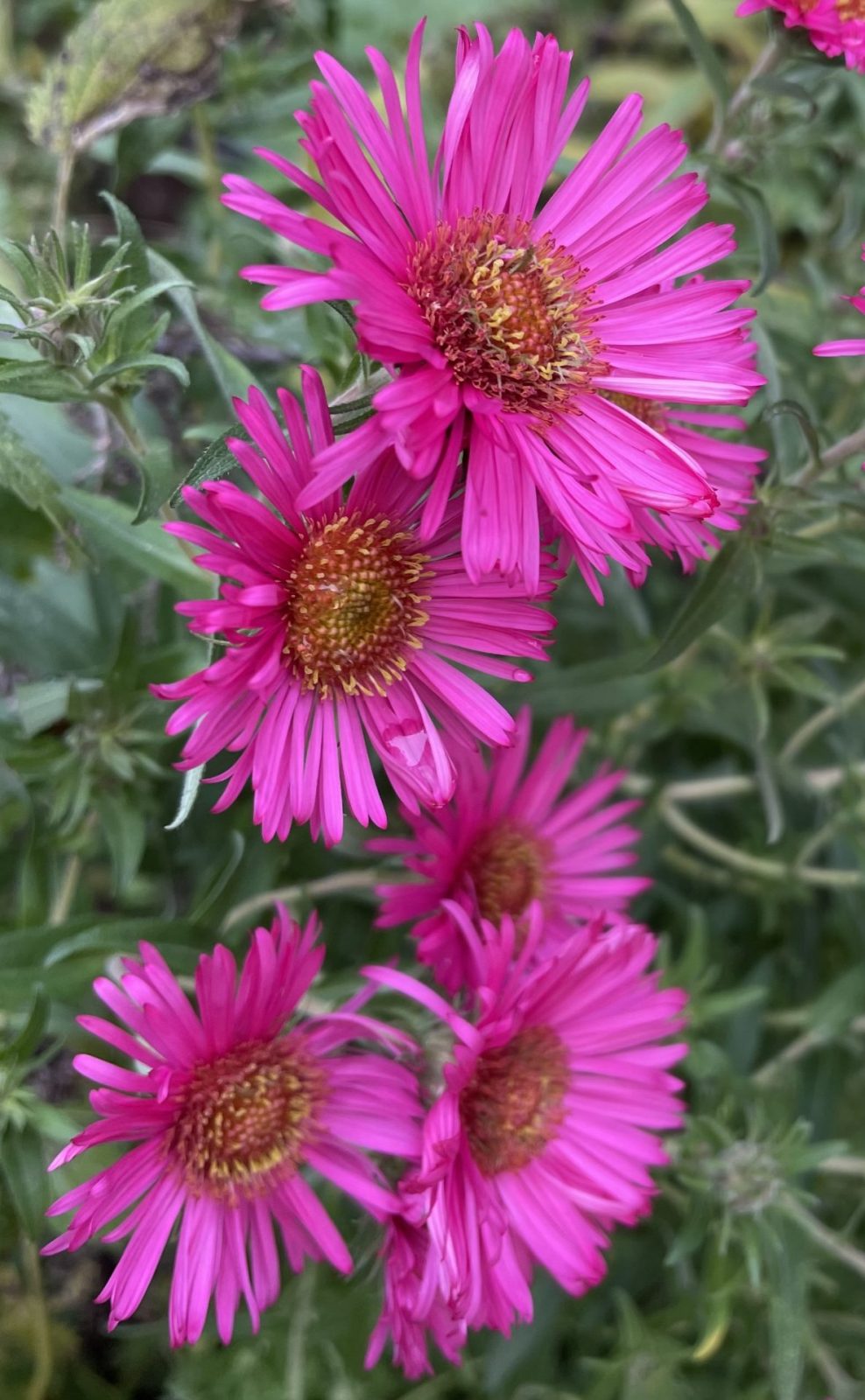 C09E3A69-42C8-4E9D-BA5C-8275A5F5753D