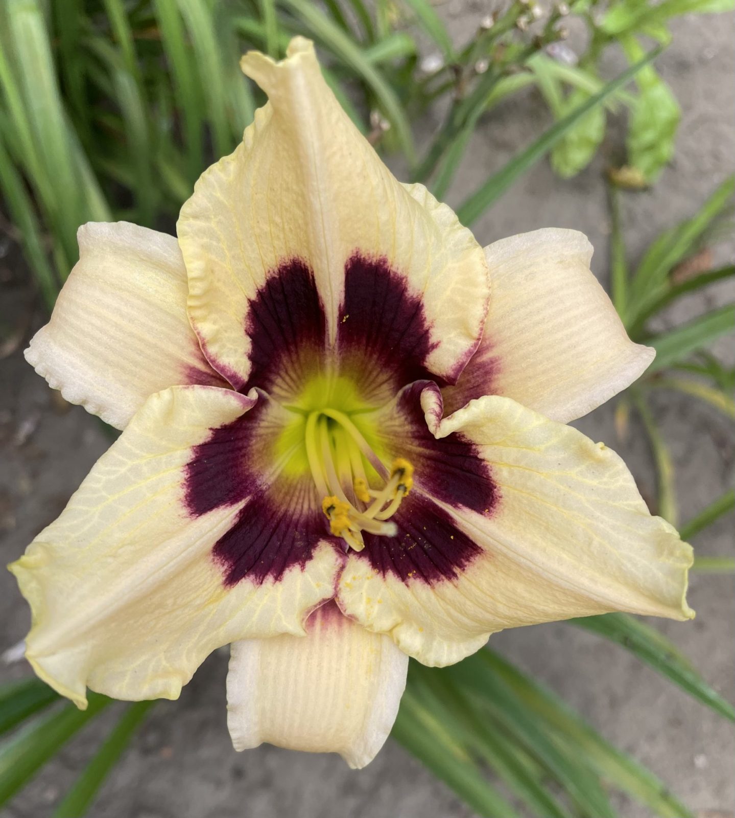 C0F165A3-3E6A-4400-81E4-C5B11269530A