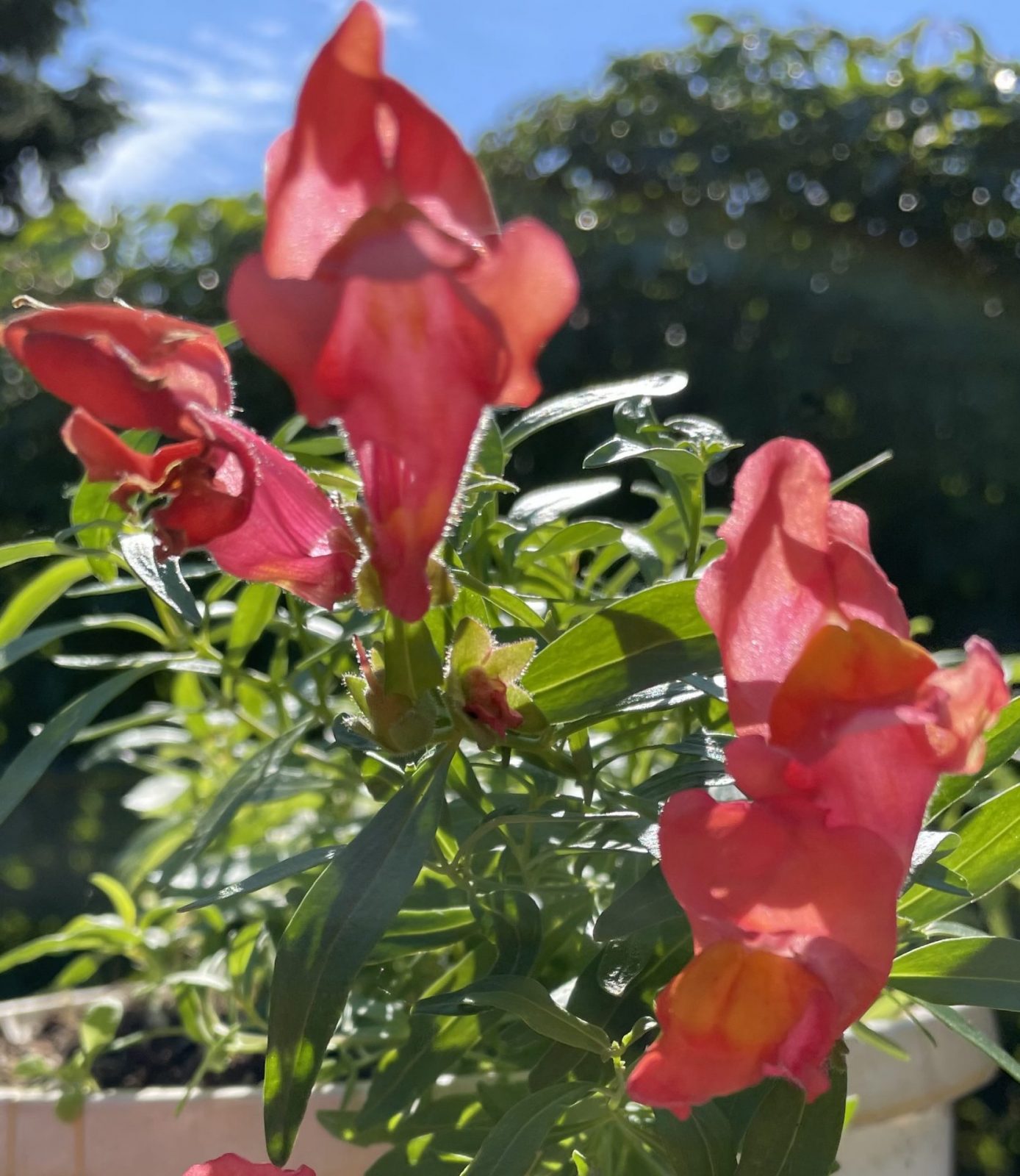 C12B0077-8ABF-4669-8200-CFB964BFD2FA