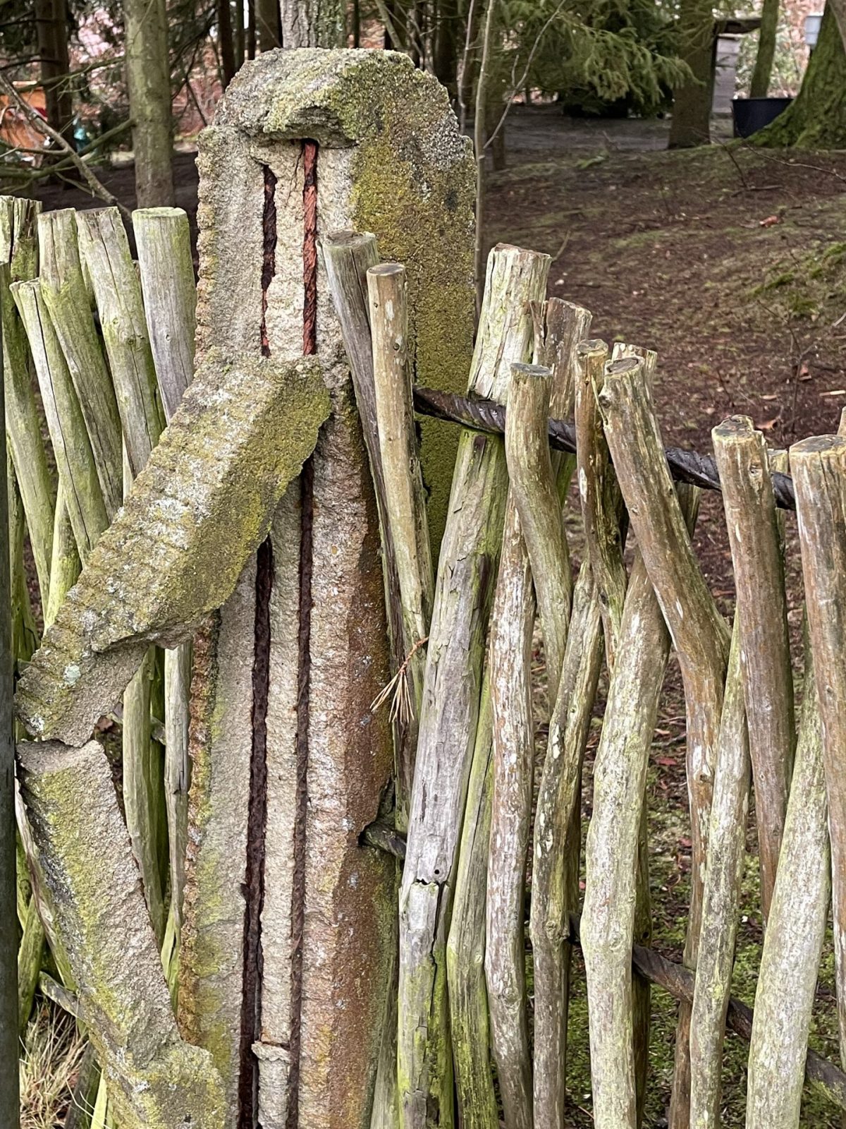 C15332CD-E113-4269-A74D-80D92A171706