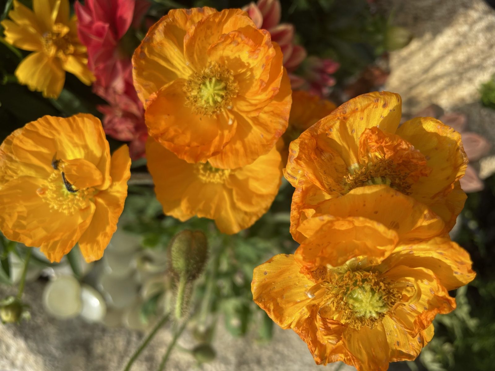 C19858FB-9615-40BA-B654-171873EB7145