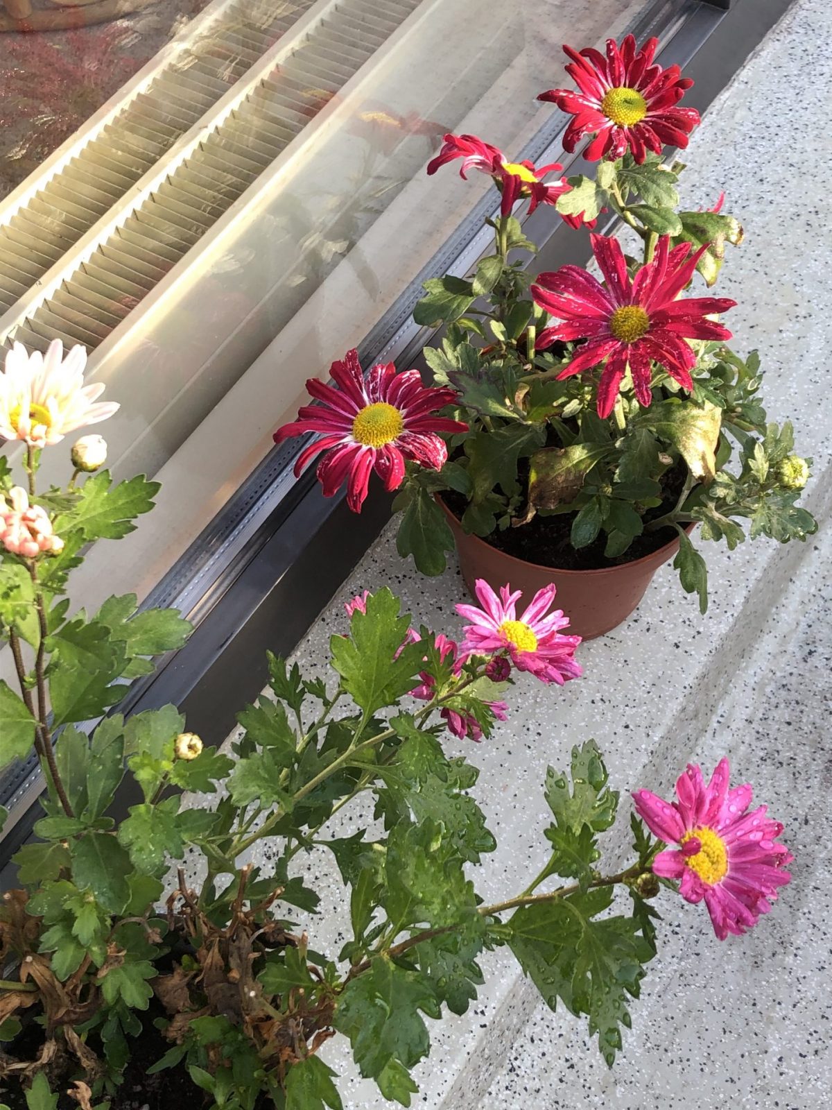 C1E4872D-3DEA-4519-8229-16E877E3ADFD