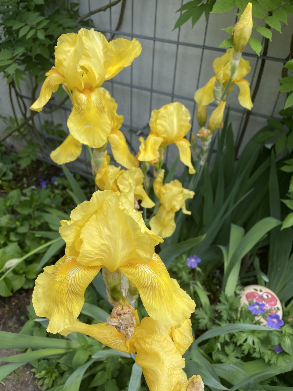 C2415CD7-36DB-4500-B6E2-7C797AFC6F53