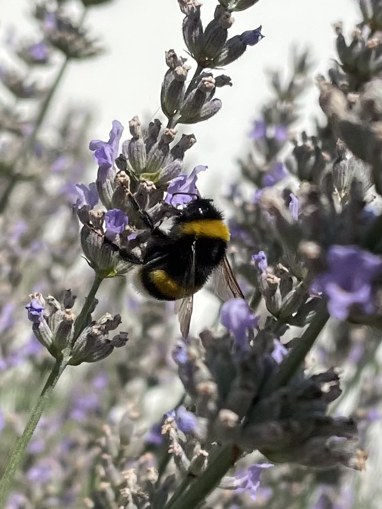 C26DB208-2272-4BE8-976A-142513D70B59