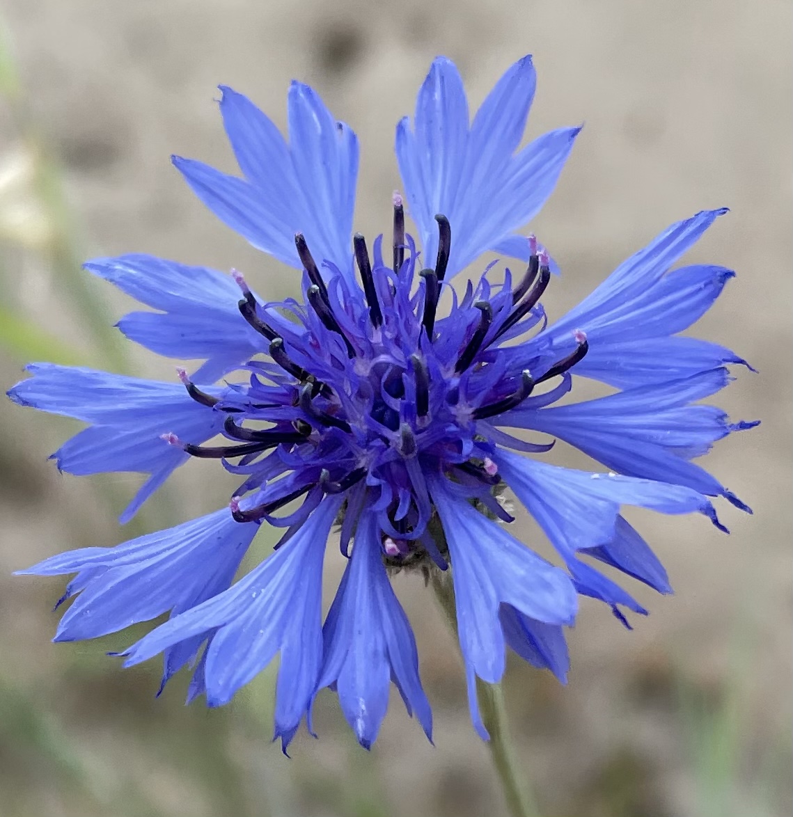 C30D446A-42E9-49B8-9955-B33EE179CE95