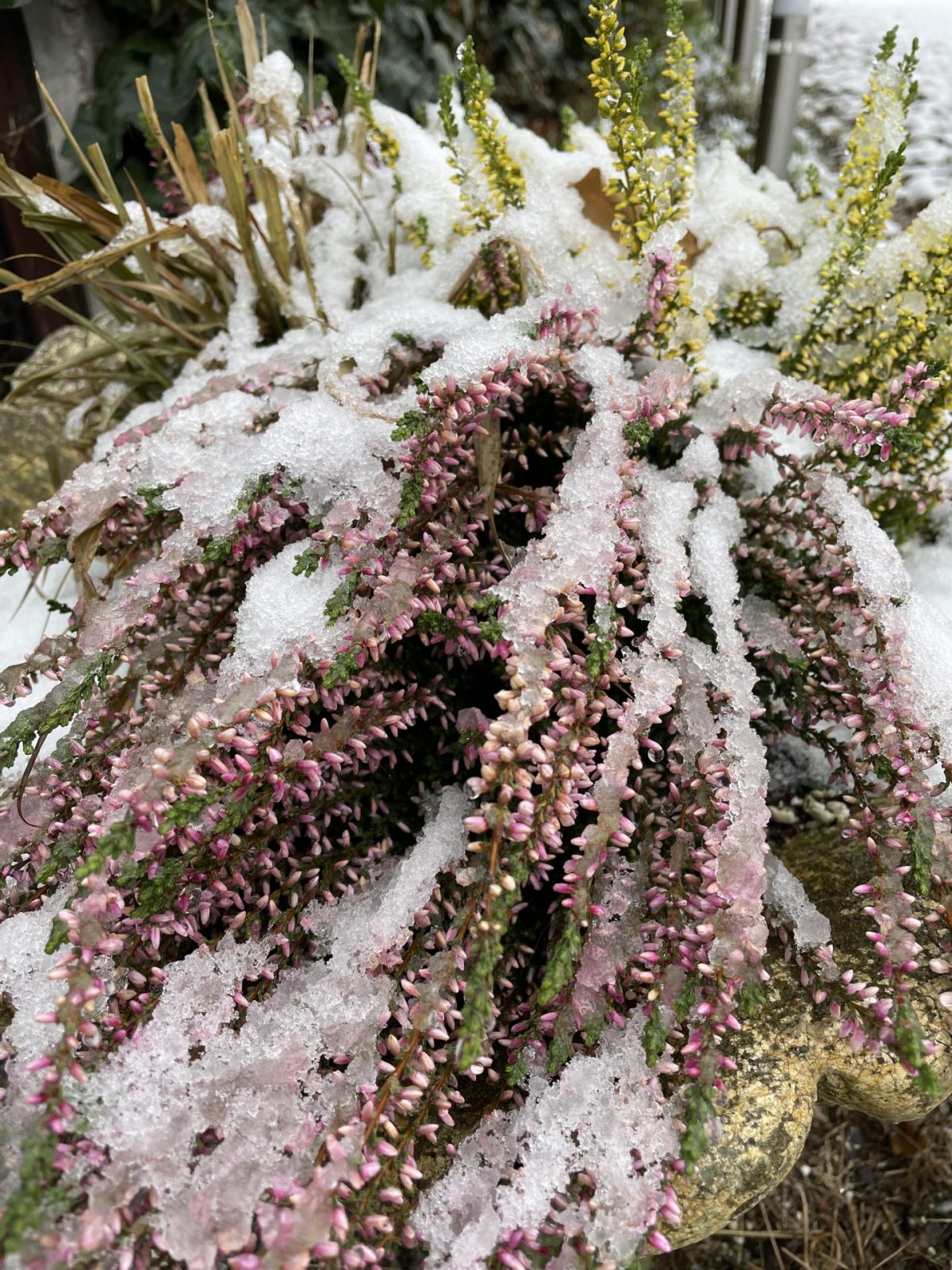 C3215A0A-53C4-4C33-8C3B-D8299D903C8F