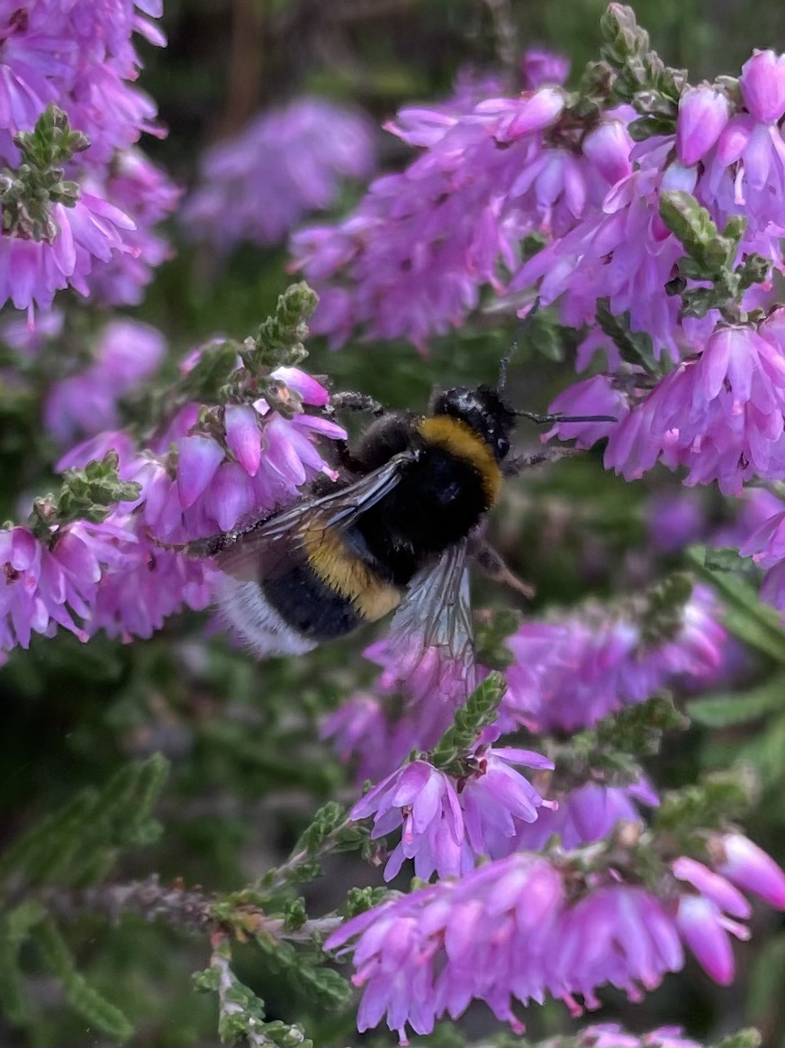 C367E6FC-4DAC-40FA-9CB0-B6CB2941B3B5