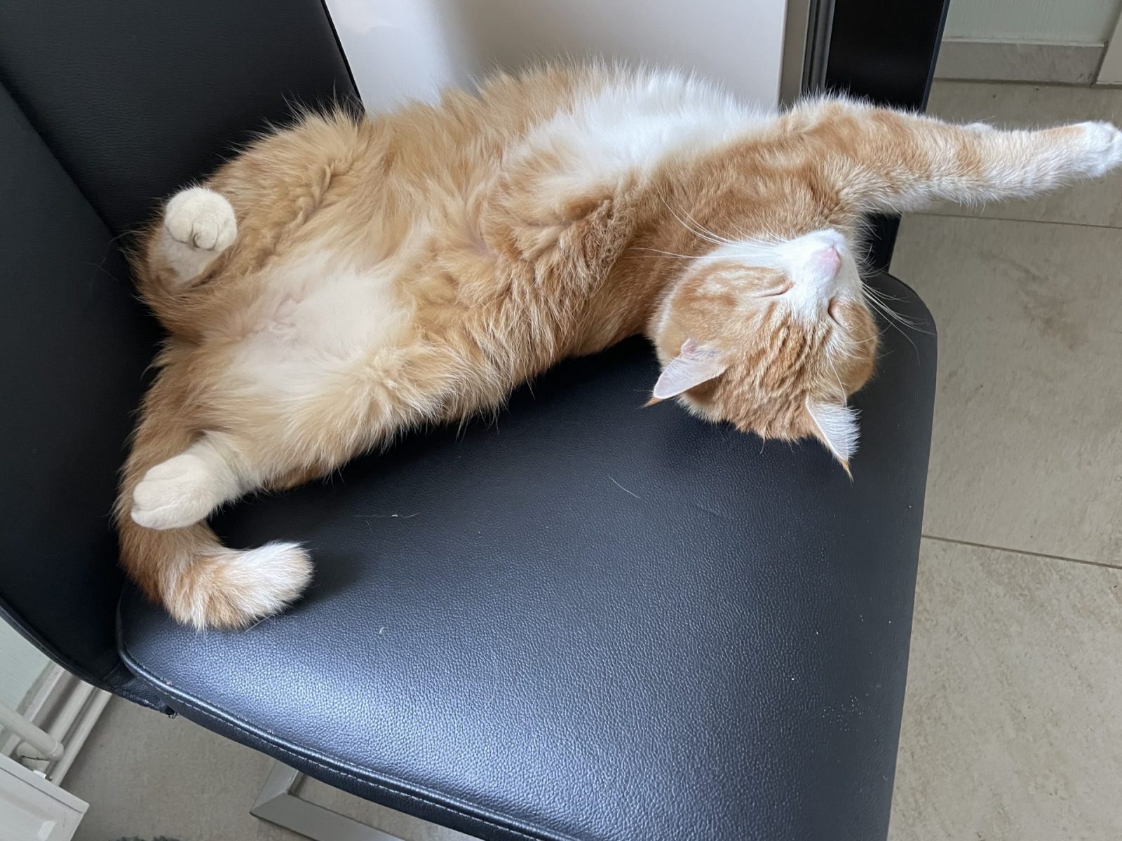 C38F074F-2D47-4CB0-9A9E-6FFE5F97B2F5