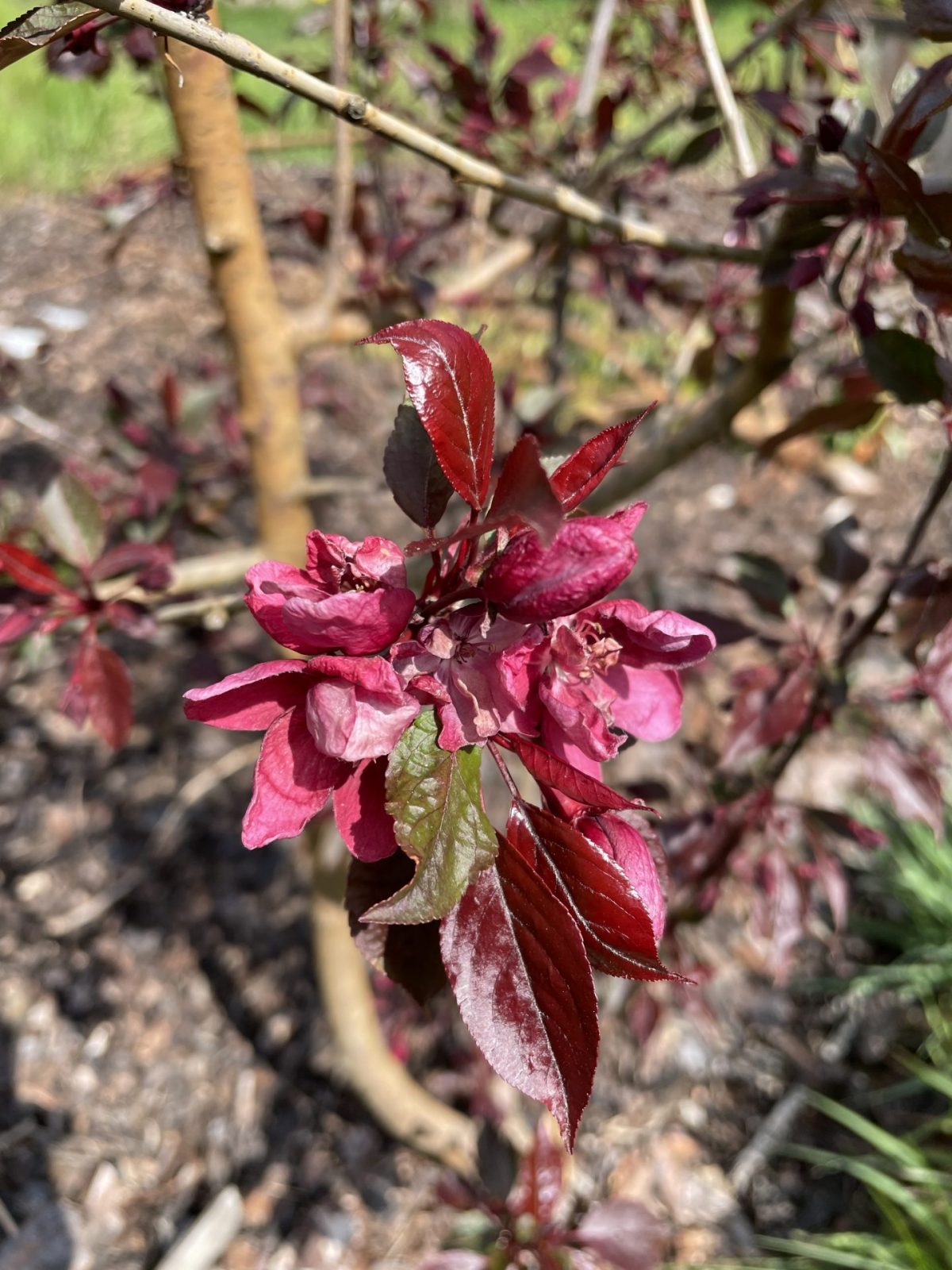 C397CD58-E40A-4574-88B2-C4714775FE61