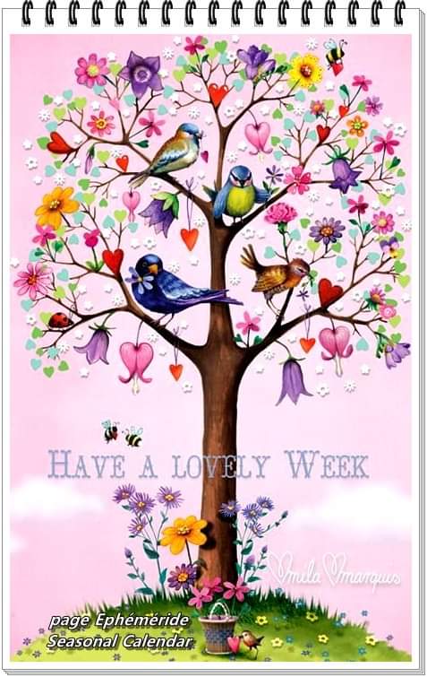 C39B7494-8959-47F4-8EE0-1714E125B05B