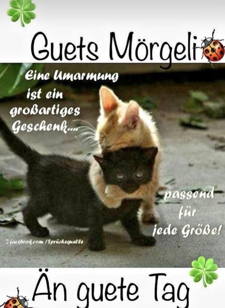 C3EAC512-27B2-46FF-B6D9-C035ABD3F03B