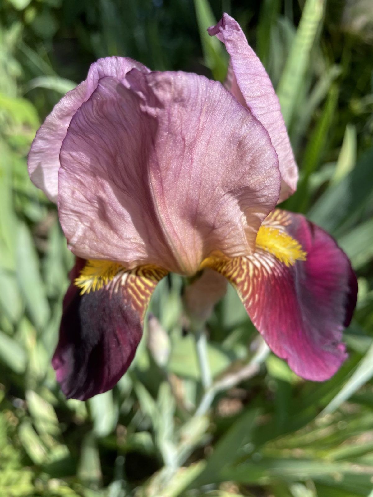 C45A22D1-DA4D-4844-9B39-B846DC079E66