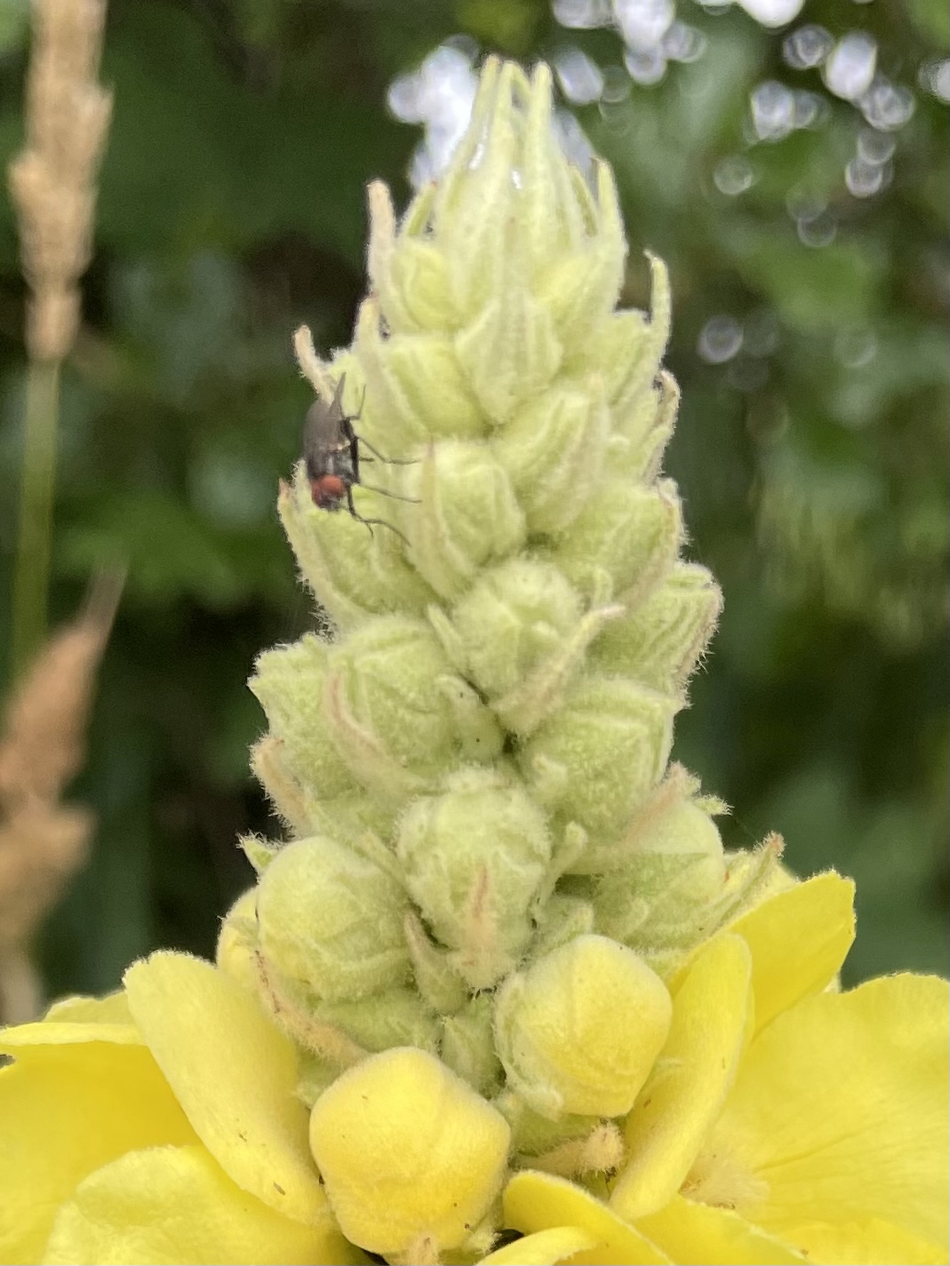 C46A57B7-BCB4-4085-96F9-6868DB698B78