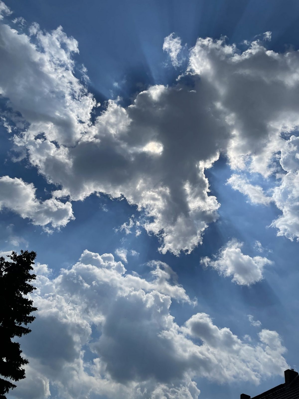 C4A100BC-C3B0-4528-BE8B-D8B07007EB94