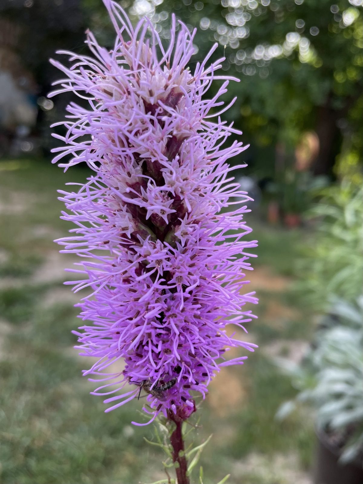 C4BA10F8-BB9D-497D-B005-F3A284B8232D