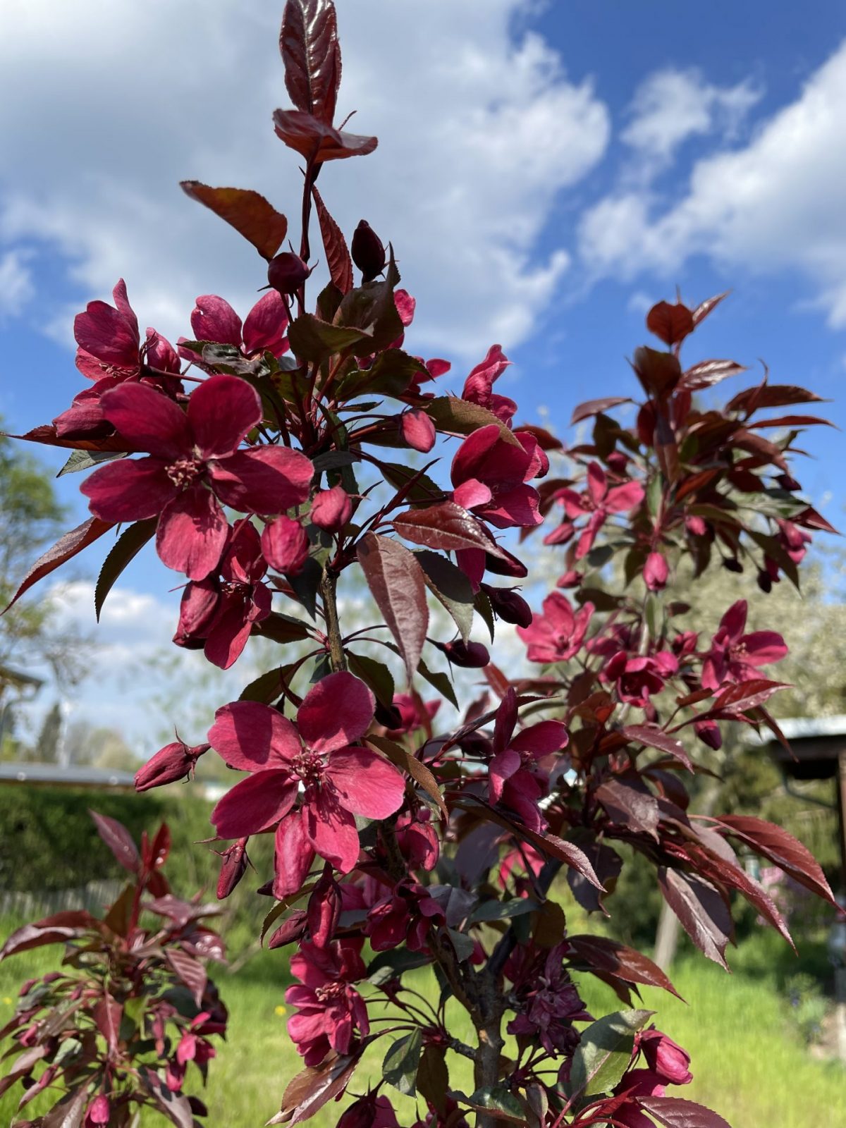 C578D1C1-3725-4A02-AB98-0A100F78F26C