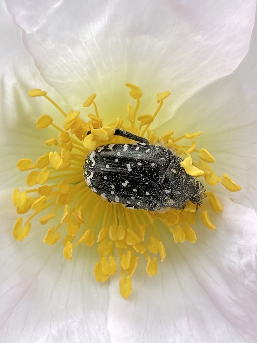 C5FE47EC-1765-4159-AB45-2F690D2DB6E9