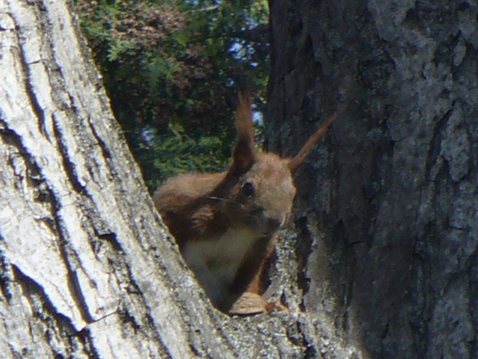 C68D0501-2829-4247-87E8-E2C36EEA8AF6