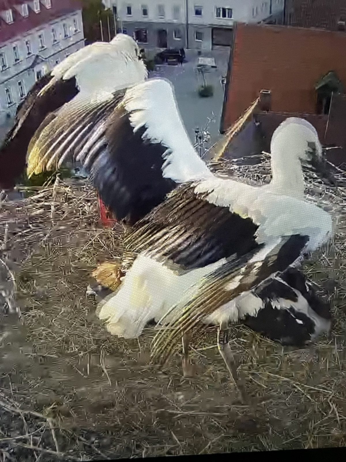 C6B6151A-C15F-4118-AFB7-35254BC54423