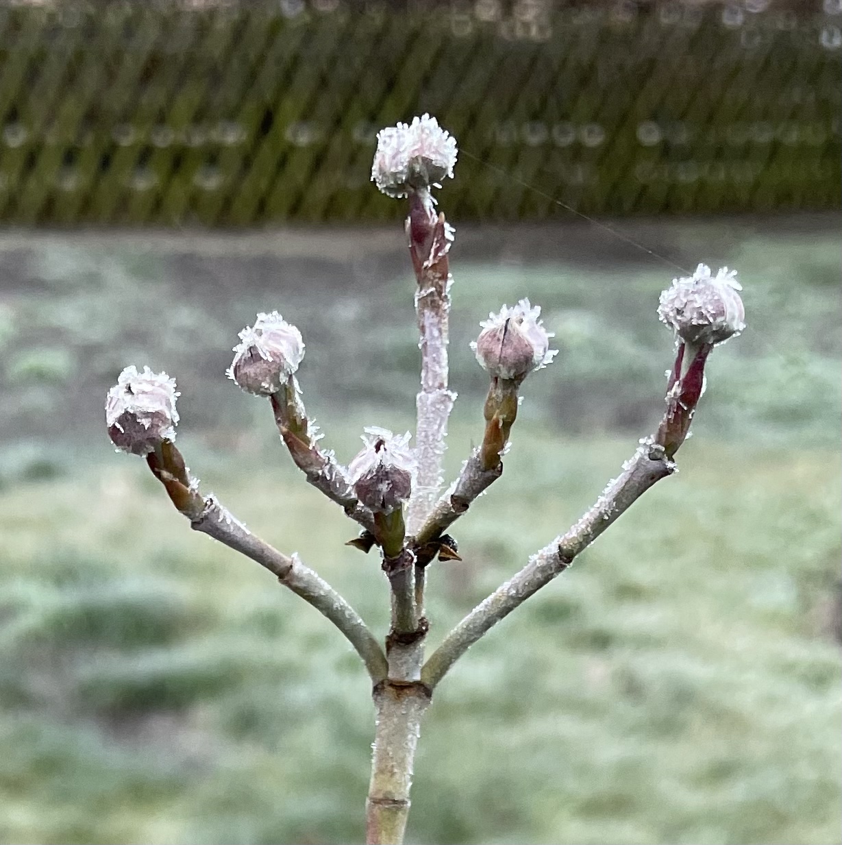 C7C87795-CF13-4C19-B291-314BF894DAD0