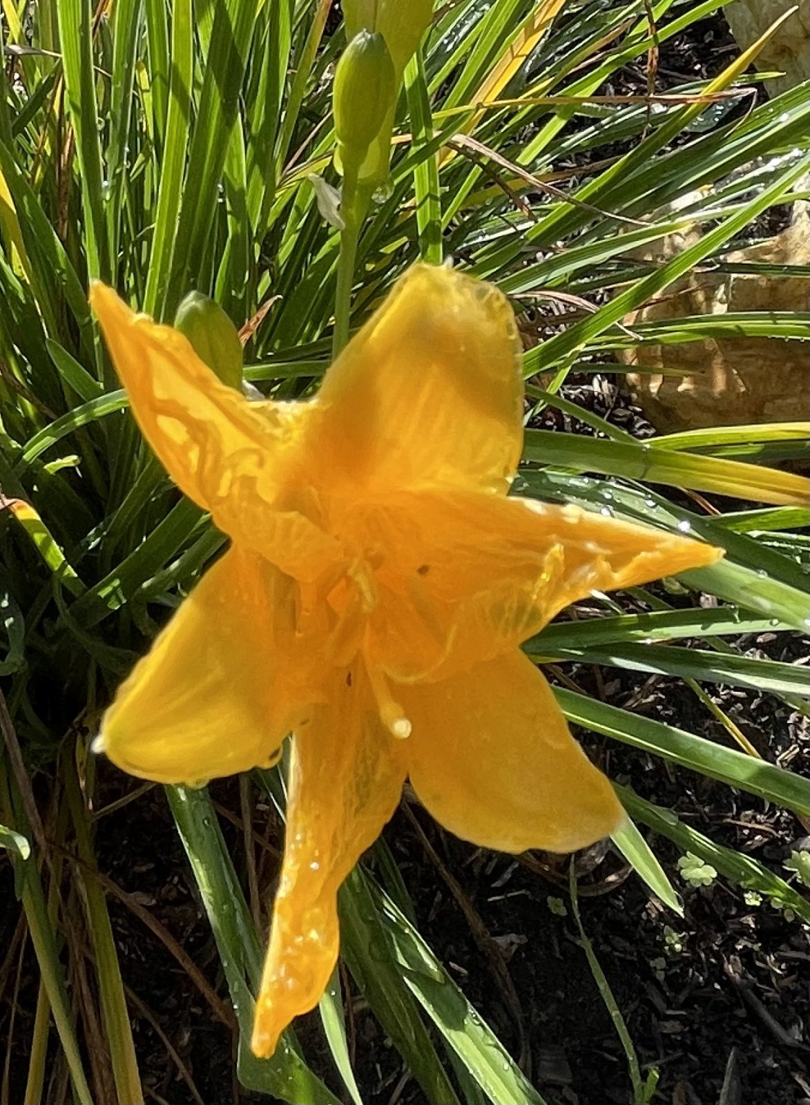 C83A4230-9426-4B80-9E3E-D6524B784EE8