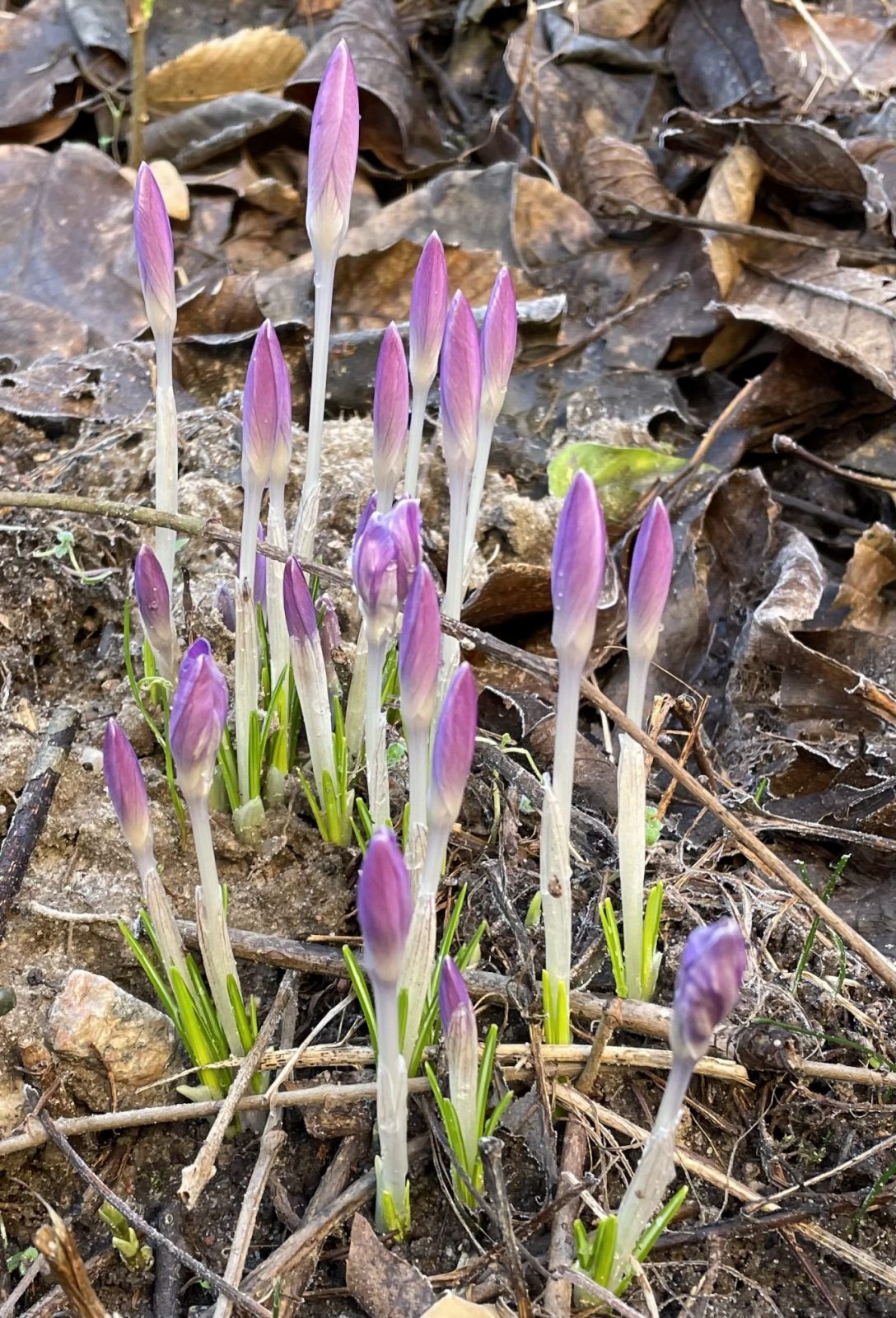 C842699B-A9E2-4831-828F-18324AC3A1CC