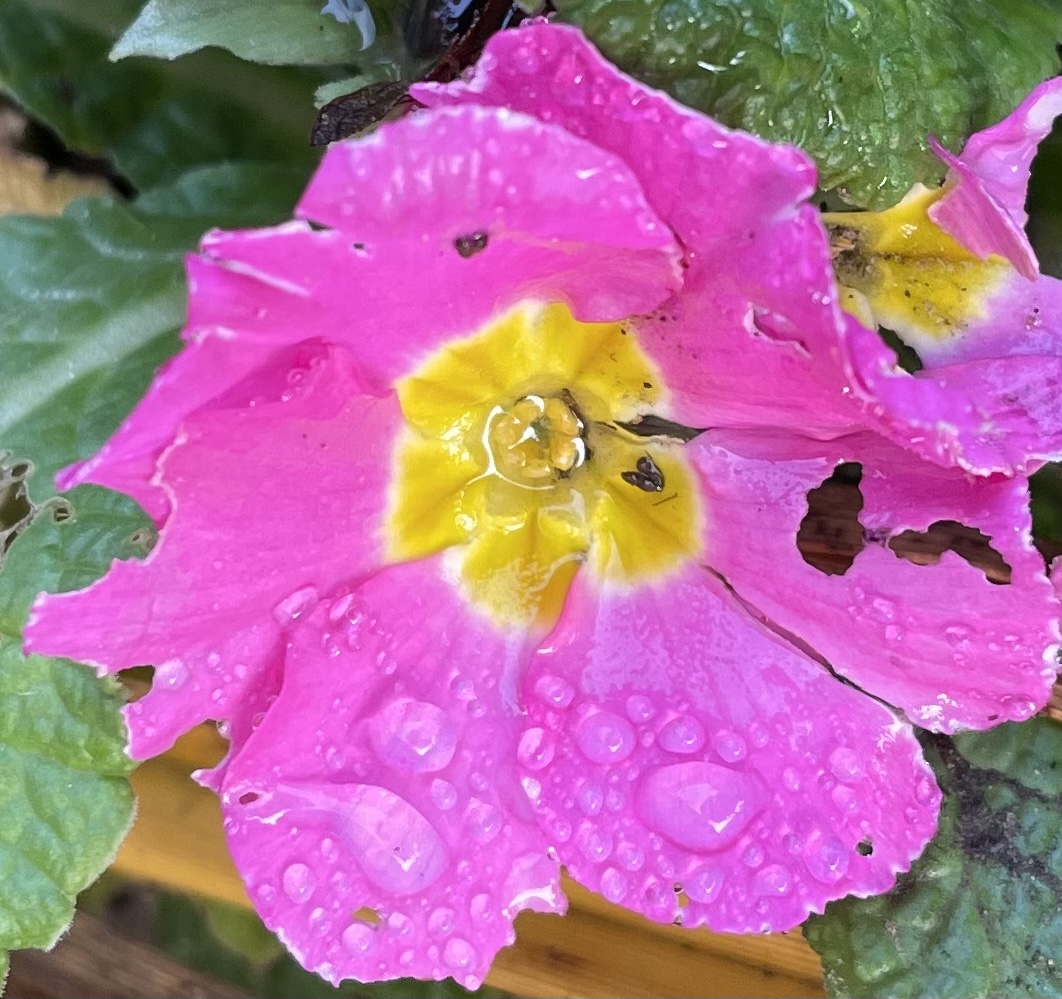 C88C05D5-7495-4CC9-9957-11332EA25F18