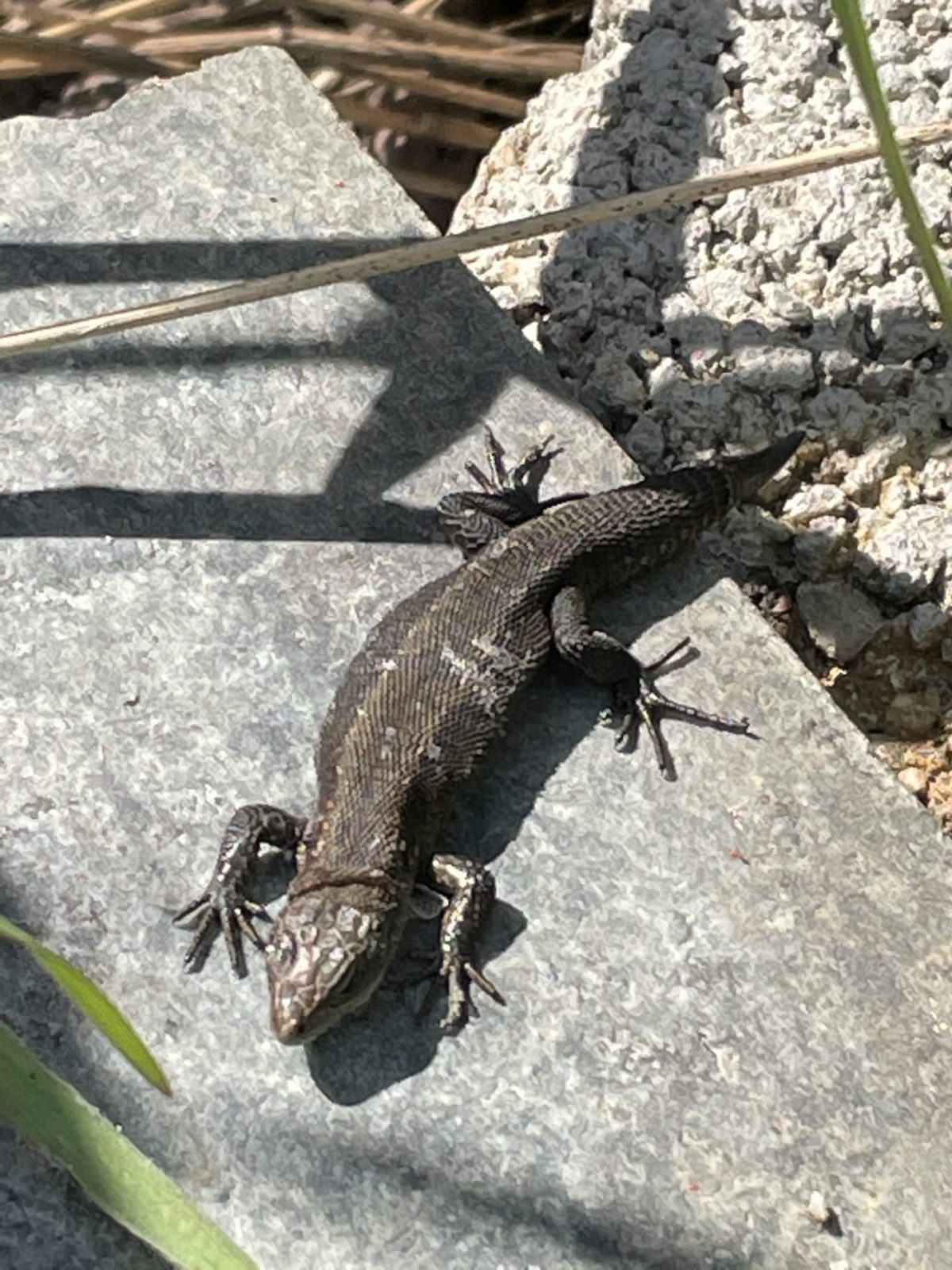 C8D77C23-2B66-4CD5-BBE3-A7D33FA7D71F