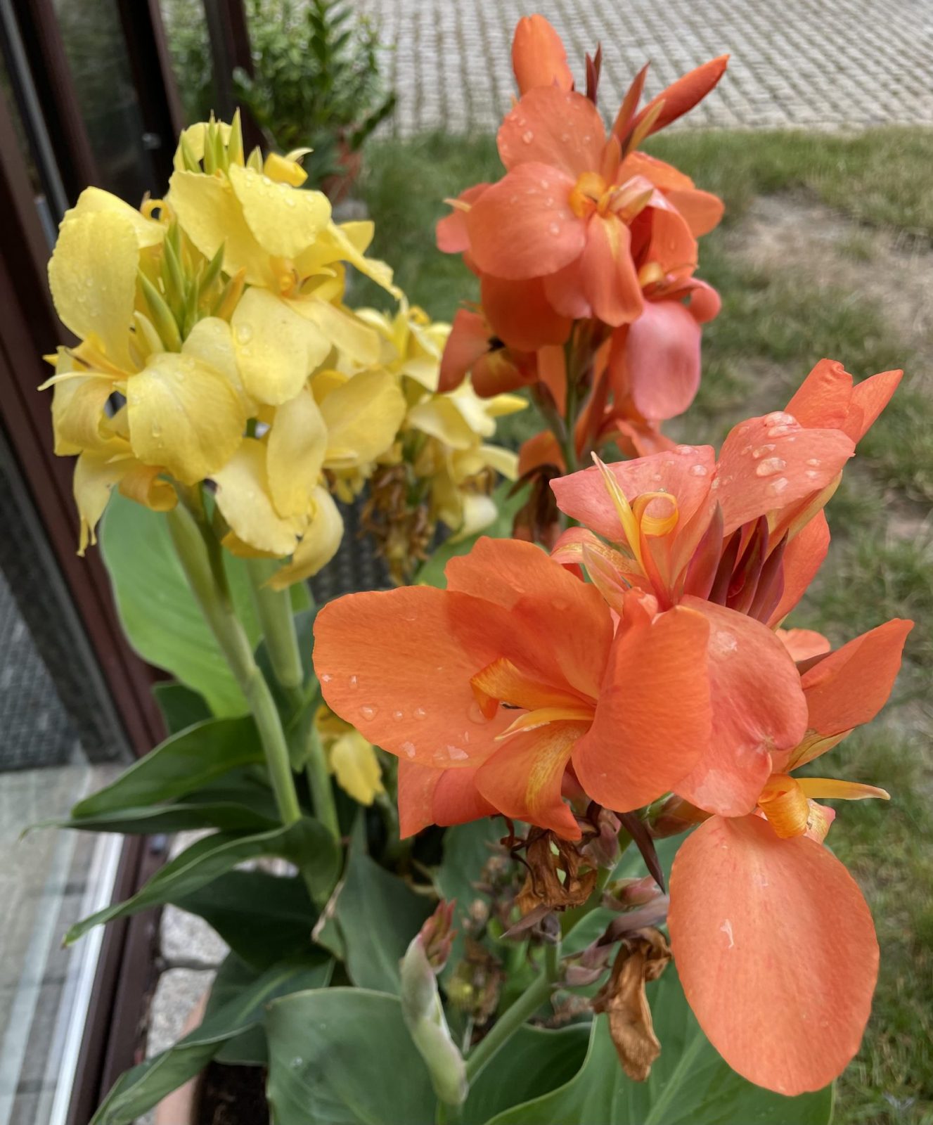 C8FF870F-1CC7-48B2-B7D0-EC90B5B1E702