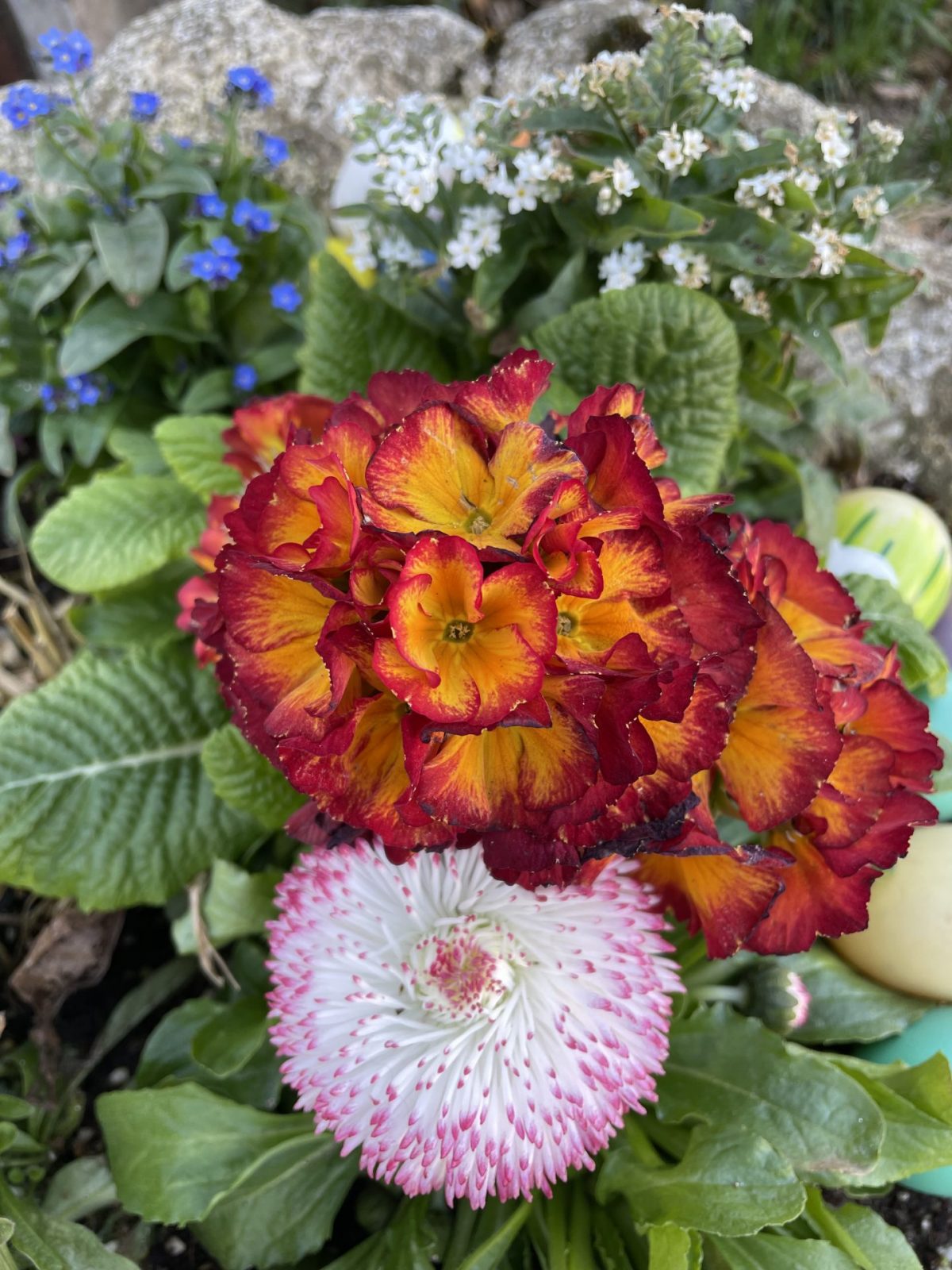 C9012C81-B3D2-406F-8FBC-6FB3C367804F