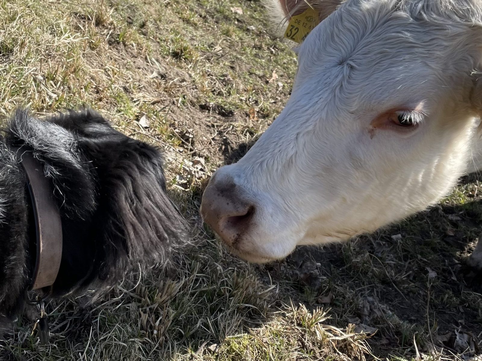 C9389521-8FAC-4A70-8E31-9BE36D333910